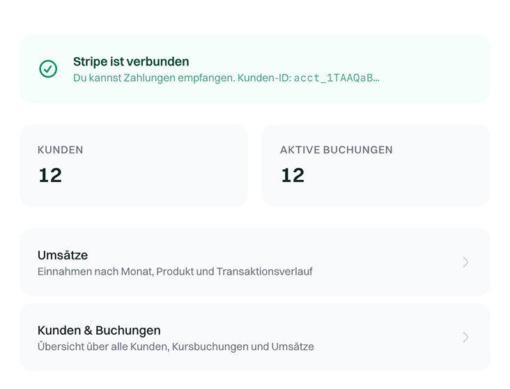Screenshot: Zahlungen & Umsatz-Dashboard